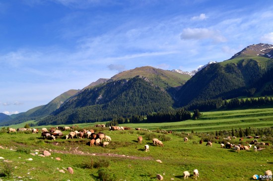 尼勒克县美丽的唐布拉风光