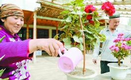 2013年4月,和田县农民卡麦尔古丽在院子里浇花。