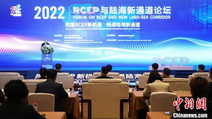 《区域全面经济伙伴关系》与陆海新通道论坛在乌鲁木齐举办